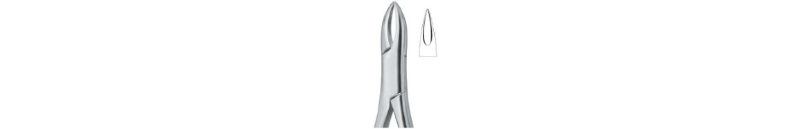 Tooth Extracting Forceps|(amr) AMERICAN Pattern